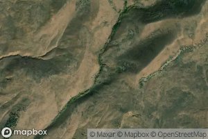 Lower Big Tom Hollow Spring