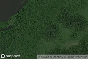 Igarape do Joaquim Preto