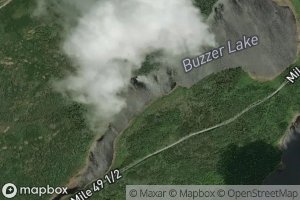 Buzzer Lake