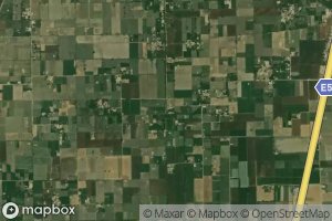 Jungle Two Left Minor