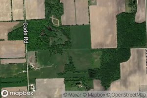 Black Segate Reid Drain