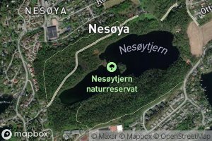 Nesoytjern