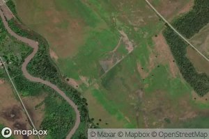 Laguna Flor Amarillo