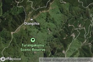 Waikinakitangata Stream