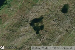 Fjellbekktjorna,store