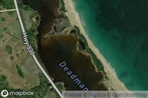 Deadman Bay Gut