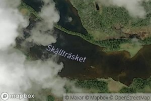 Skaelltraesket