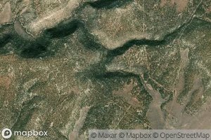 Poison Spider Spring