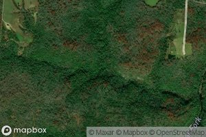 Saunders Mill Branch