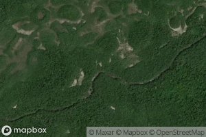 Igarape Nelson Ribeiro