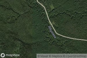 Poperechnaya Yaborkovka