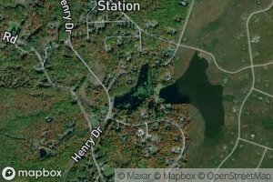 Blue Giant Meadow Lake