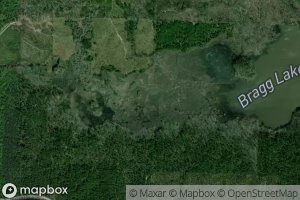 Poison Springs Branch