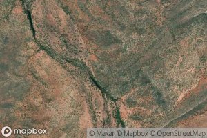 Black Tea Tree Creek