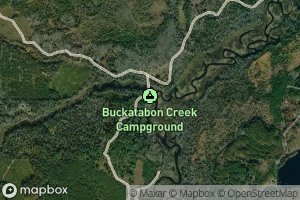Buckatabon Creek