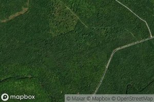 South Branch McInnes Brook