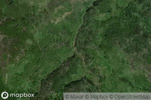 First Fork South Fork Piney River