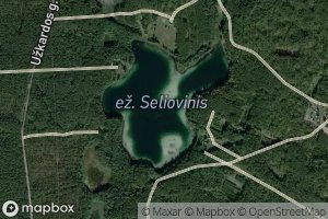 Ezeras Seliovinis