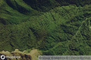 Left Branch Moonlight Creek