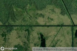 Louisiana Cypress Lumber Canal