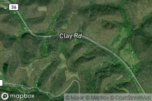 Trudice Carper Spring