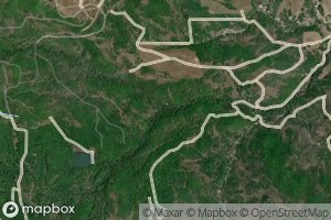 Left Hand Fork Peterson Creek