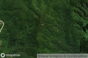 Grace Darling Stream