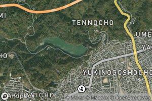 Karasuhara Chosuichi