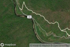 Lester Falnagan Spring