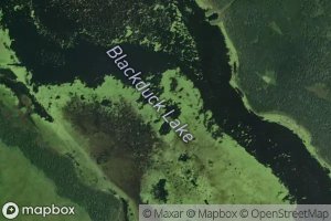 Blackduck Lake