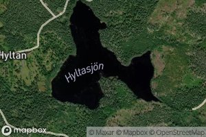 Hyltasjon