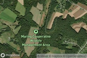 Cabbage Spring Branch