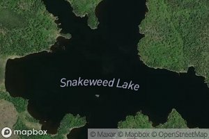 Snakeweed Lake