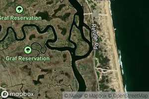 Little Pine Island Creek