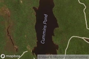 Cummins Pond
