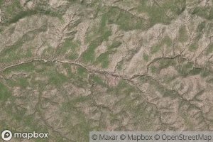 Canada Palo Blancosa