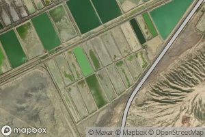 Parvaresh-e Mahi-ye Setareh-ye Sharq