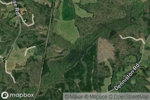 Little Coleman Creek