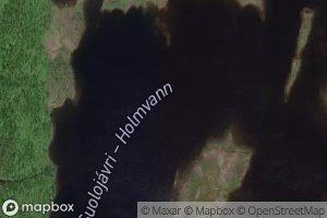 Holmvann