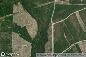 East Prong Bear Creek