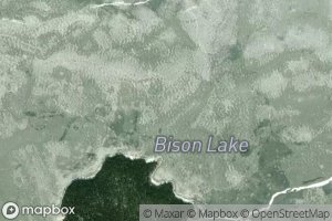 Bison Lake