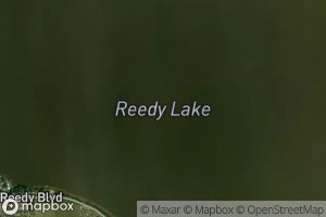 Reedy Lake