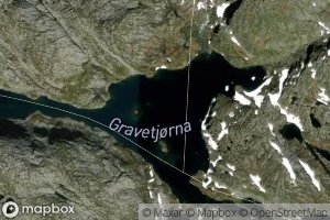 Gravetjorna