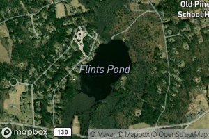 Flints Pond