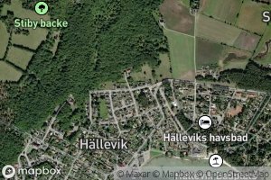 Halleviksviken