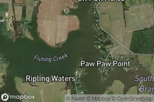 Southeast Branch Fishing Creek