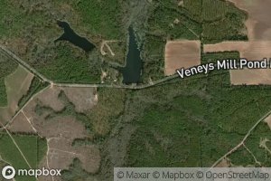 Veneys Millpond