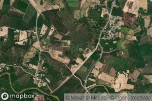 Nong Khlong Phan Phai