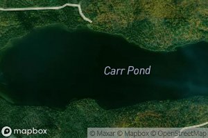 Carr Pond