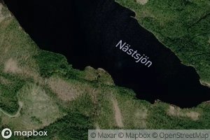 Nastsjon